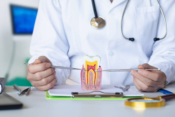 Best Walk-In Emergency Dentist in Scottsboro, AL